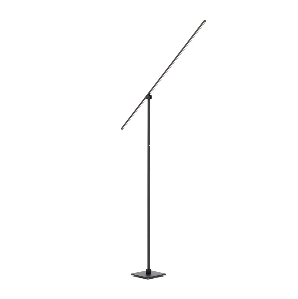 Hot Axis Floor Lamp Black Lighting | Get It In Time For Christmas