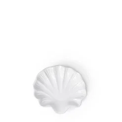 Clearance Puglia White Shell Dish Bowls & Plates | Gifts For Home