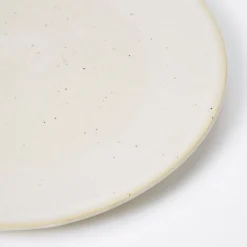 Hot Speckle Dinner Plate Bowls & Plates | Get It In Time For Christmas