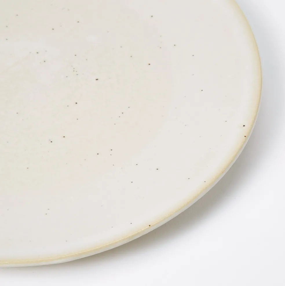 Hot Speckle Dinner Plate Bowls & Plates | Get It In Time For Christmas