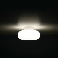 Cheap Torus Dimmable Small Flush Ceiling & Wall Light Opal Lighting | Get It In Time For Christmas