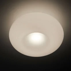 Cheap Torus Dimmable Small Flush Ceiling & Wall Light Opal Lighting | Get It In Time For Christmas