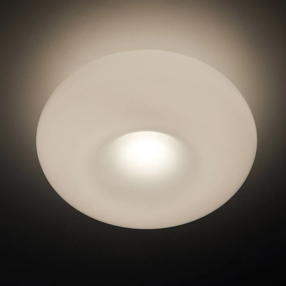 Cheap Torus Dimmable Small Flush Ceiling & Wall Light Opal Lighting | Get It In Time For Christmas